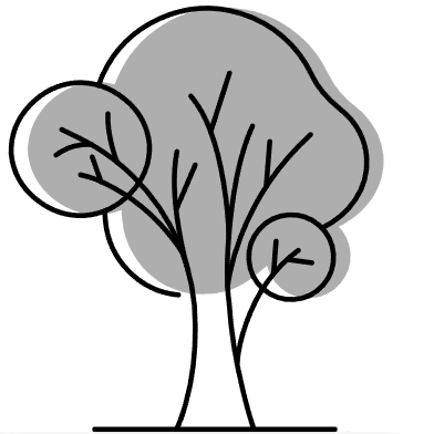 THE NATURAL WORLD