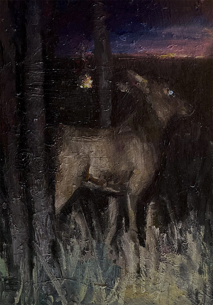 Dusk
