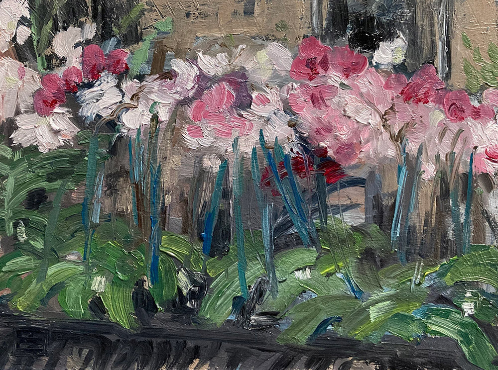 Orchid Market