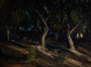 Solace